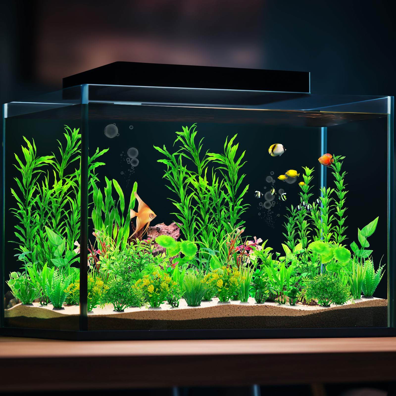 CousDUoBe plantes installées en aquarium complet, enrichit paysage sous-marin