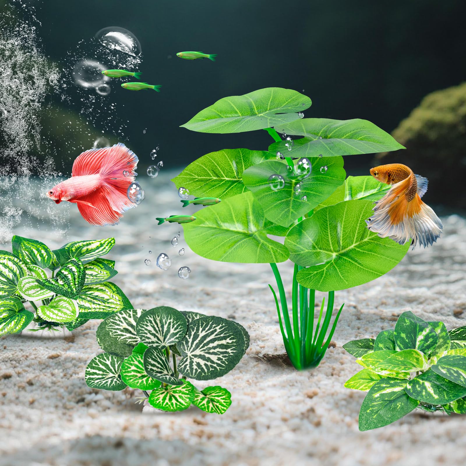 CousDUoBe groupe de 12 plantes pour composition décorative personnalisée