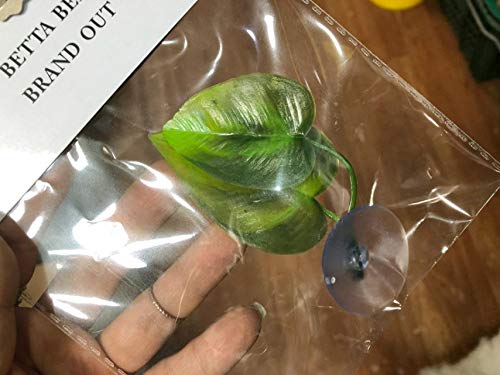 CousDUoBe pack de quatre hamacs prêt à enrichir le bac