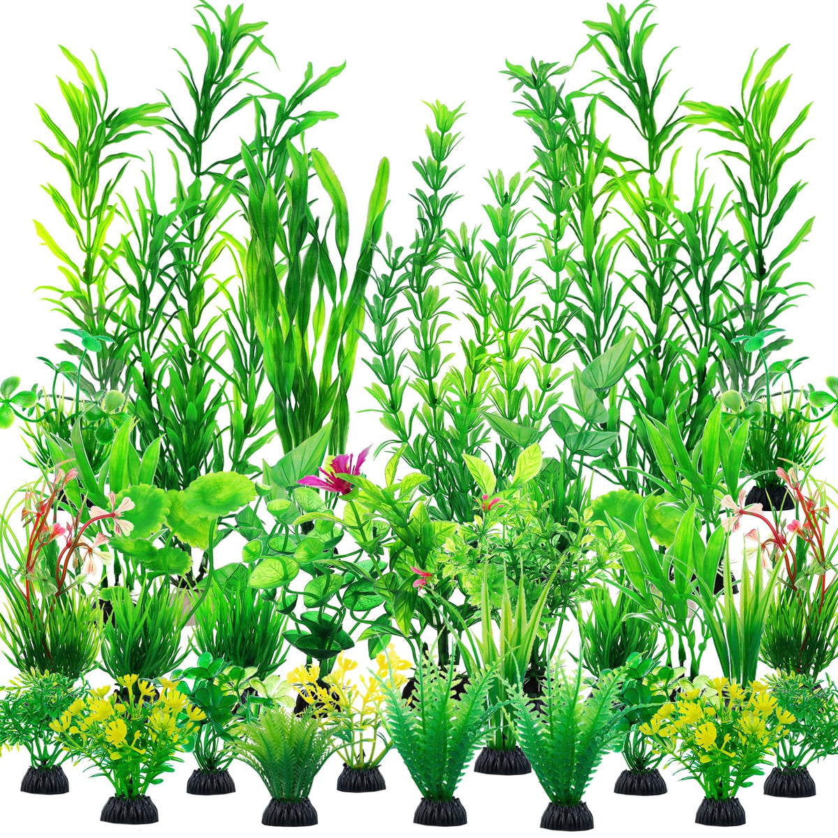 CousDUoBe emballage avant montrant 30 plantes, facilite identification du produit