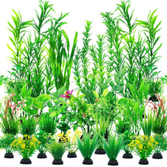 CousDUoBe emballage avant montrant 30 plantes, facilite identification du produit
