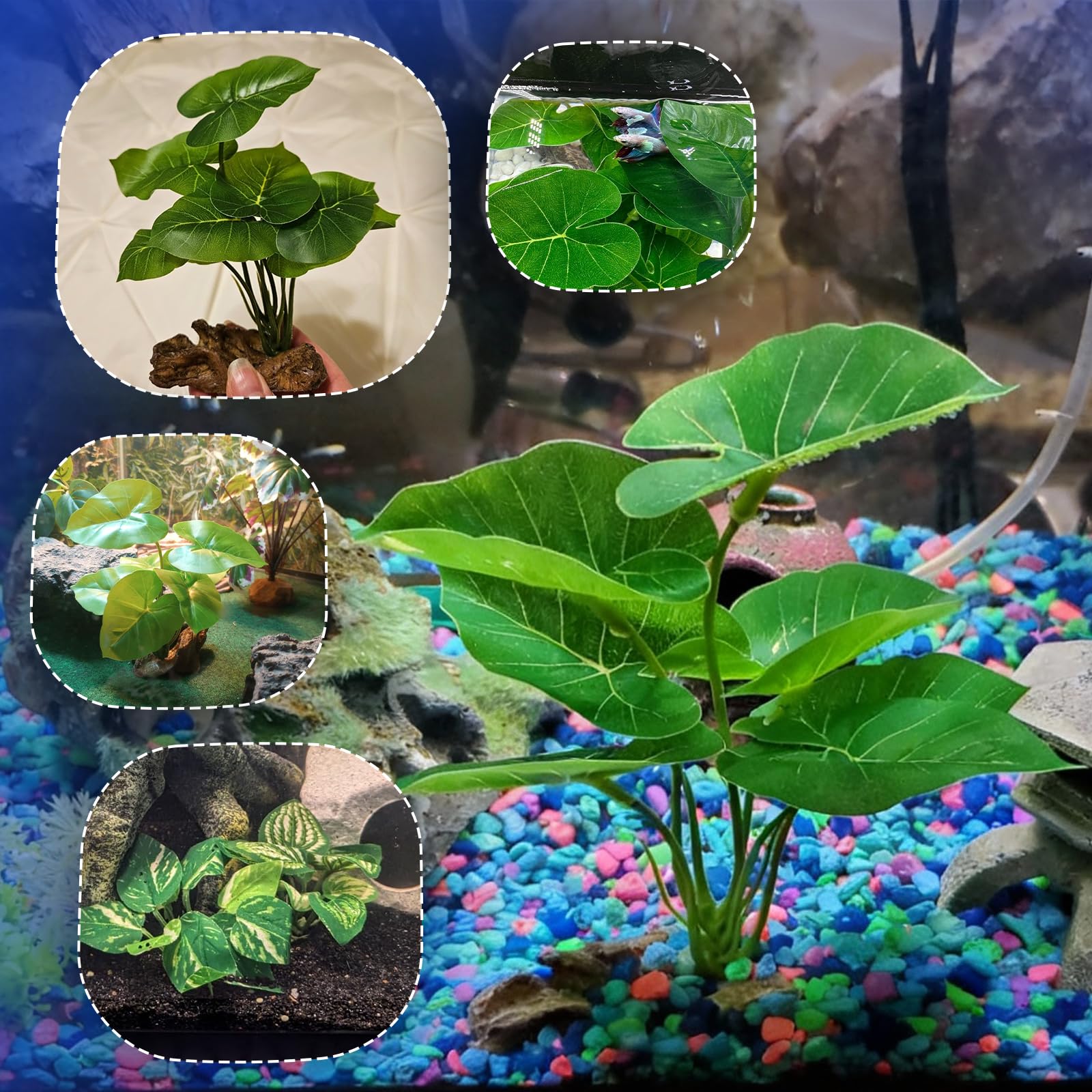CousDUoBe mise en scène zen pour aquarium apportant touche décorative