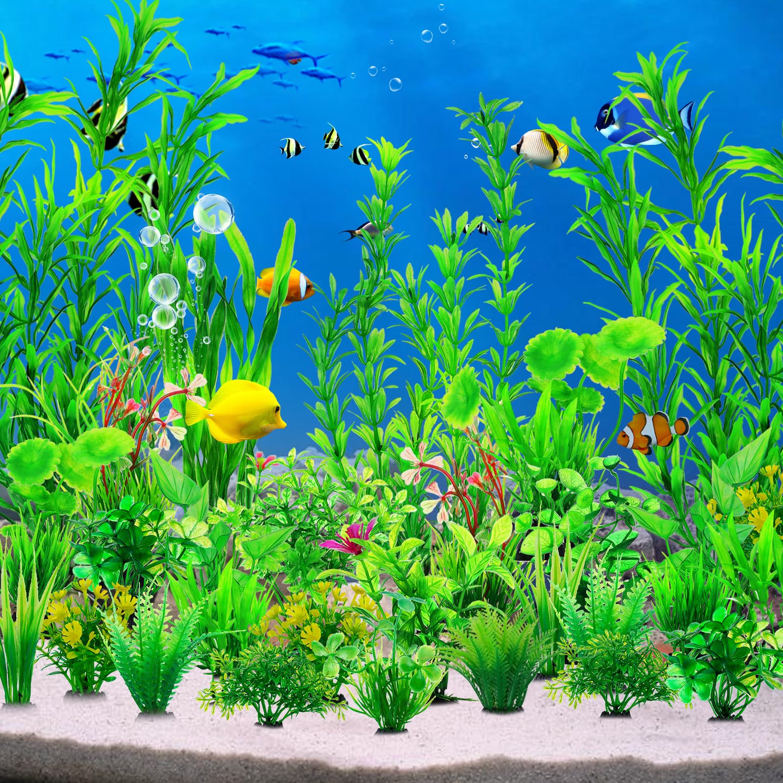 CousDUoBe vue multiple de plantes en aquarium, améliore rendu décoratif