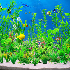 CousDUoBe vue multiple de plantes en aquarium, améliore rendu décoratif