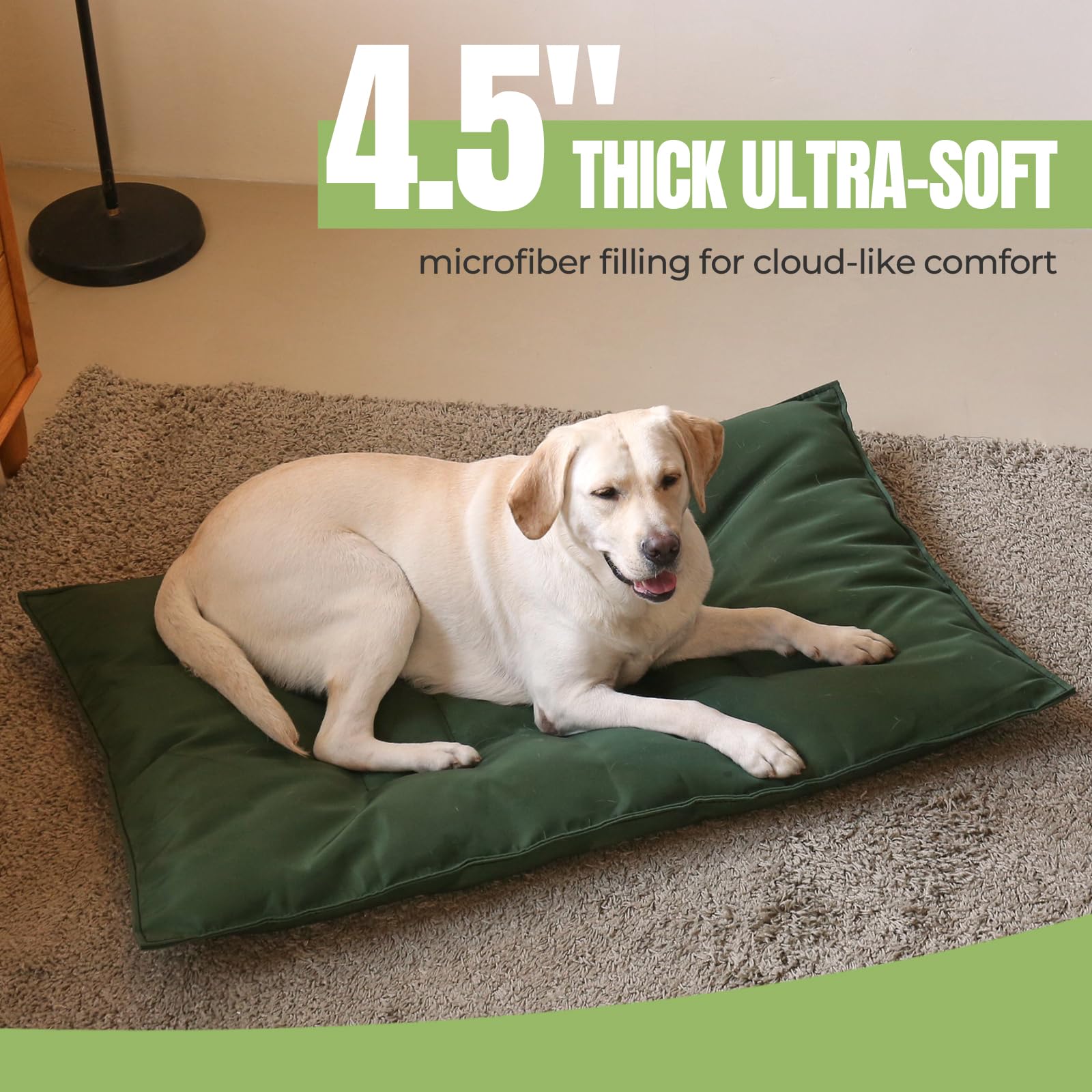 Couzssyhi chien sur le lit confort soutenant articulations