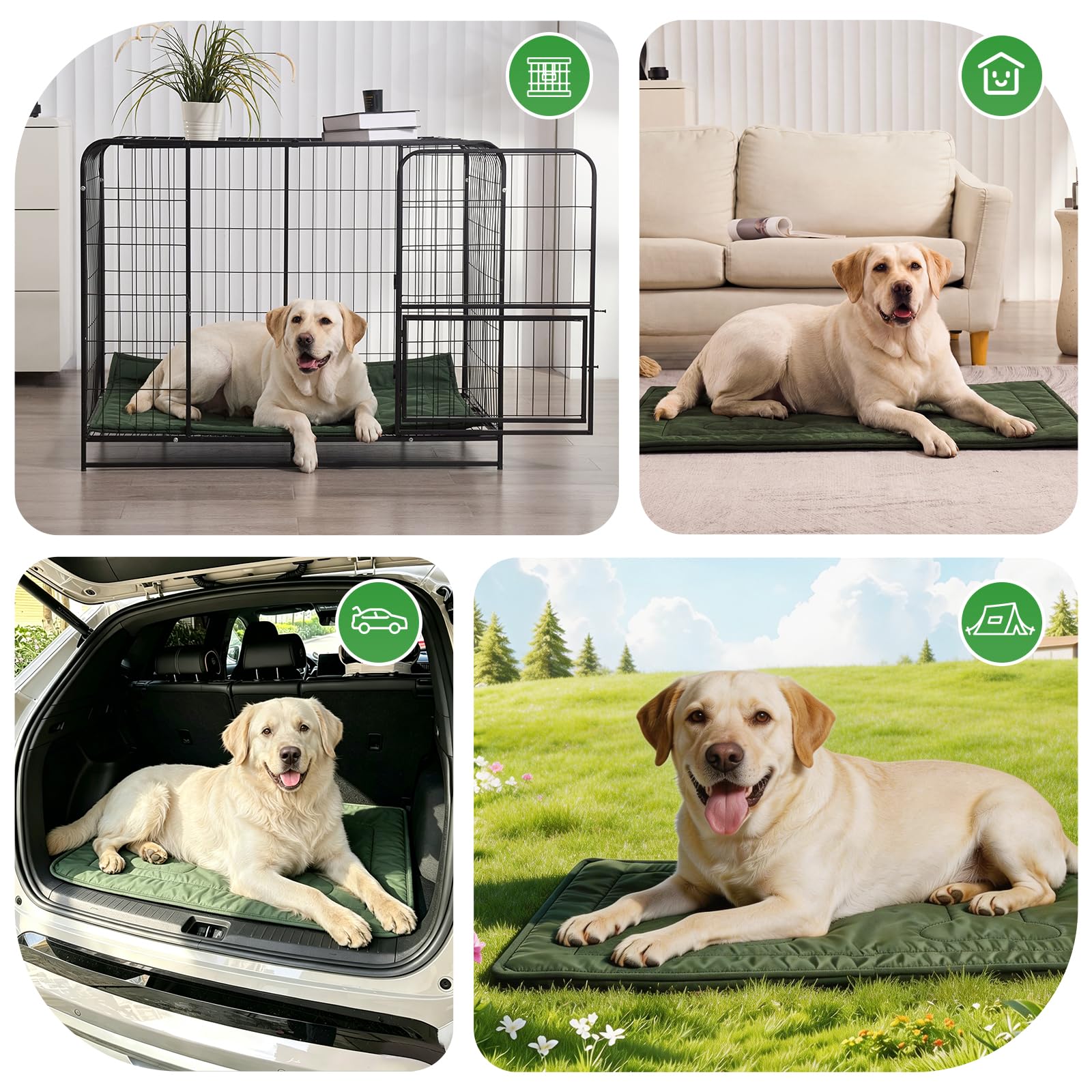 Couzssyhi matelas comparé à chien moyen montrant taille et ajustement