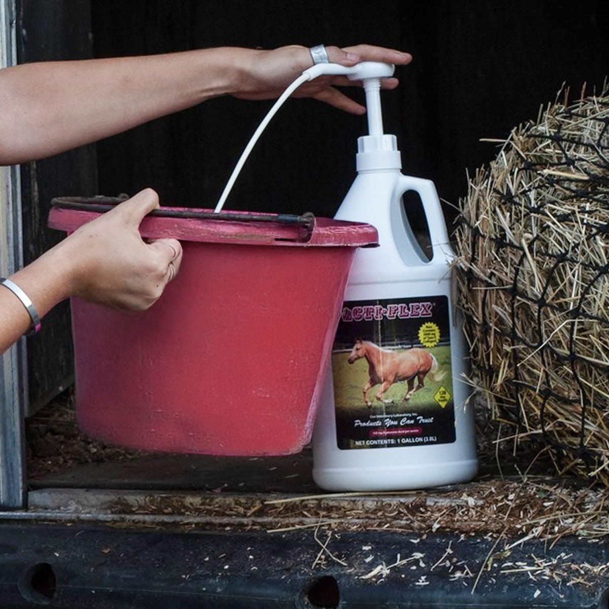 COX VETERINARY gallon posé à côté d’un seau pour évaluer la contenance