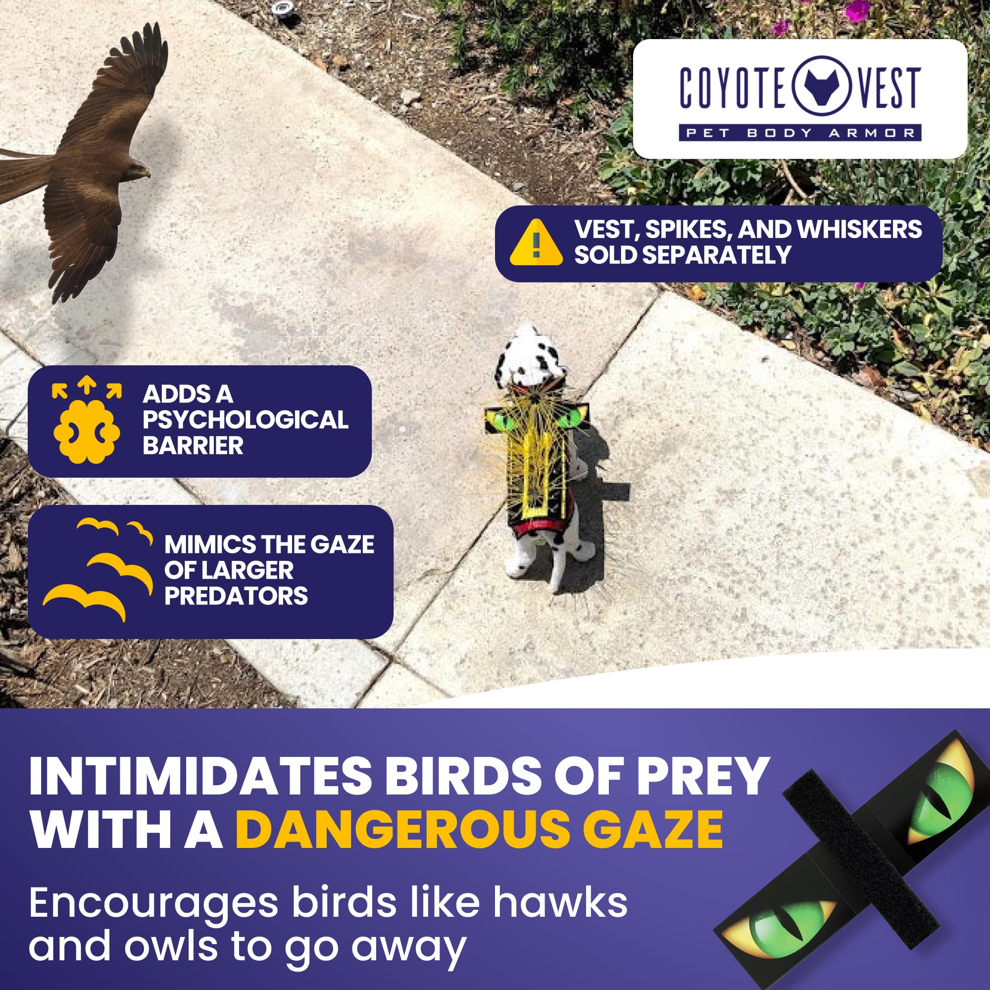 Dos CoyoteVest Hawk Eyes avec Velcro double-face pour fixation rapide