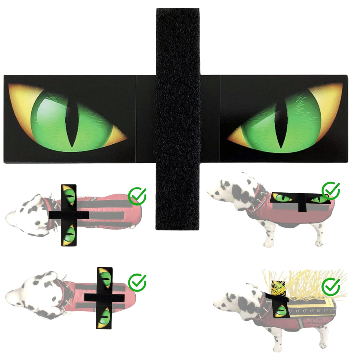CoyoteVest Hawk Eyes face avant pour dissuader rapaces et augmenter visibilité