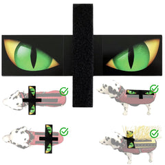 CoyoteVest Hawk Eyes face avant pour dissuader rapaces et augmenter visibilité