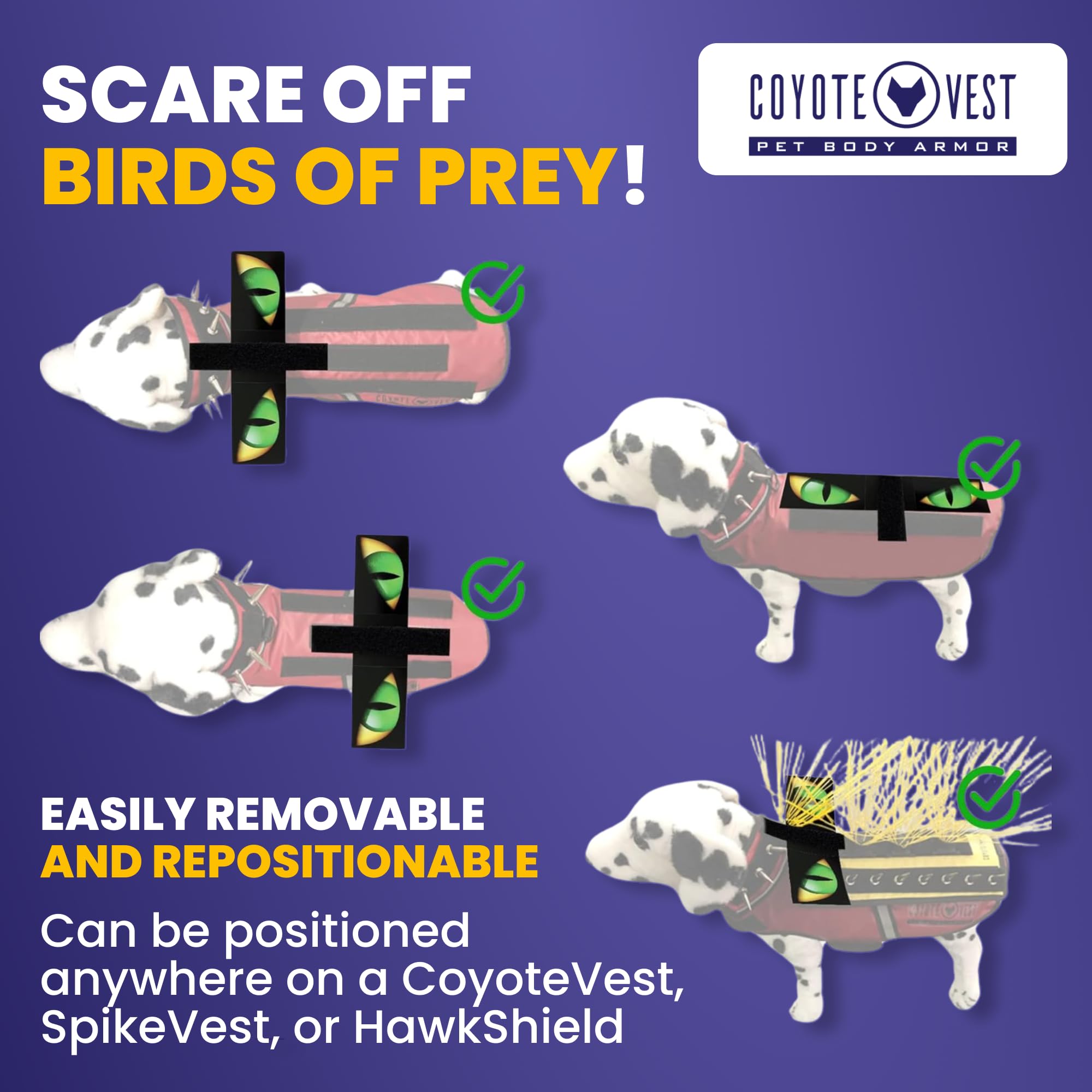 CoyoteVest Hawk Eyes en randonnée sur petit chien pour sécurité extérieure