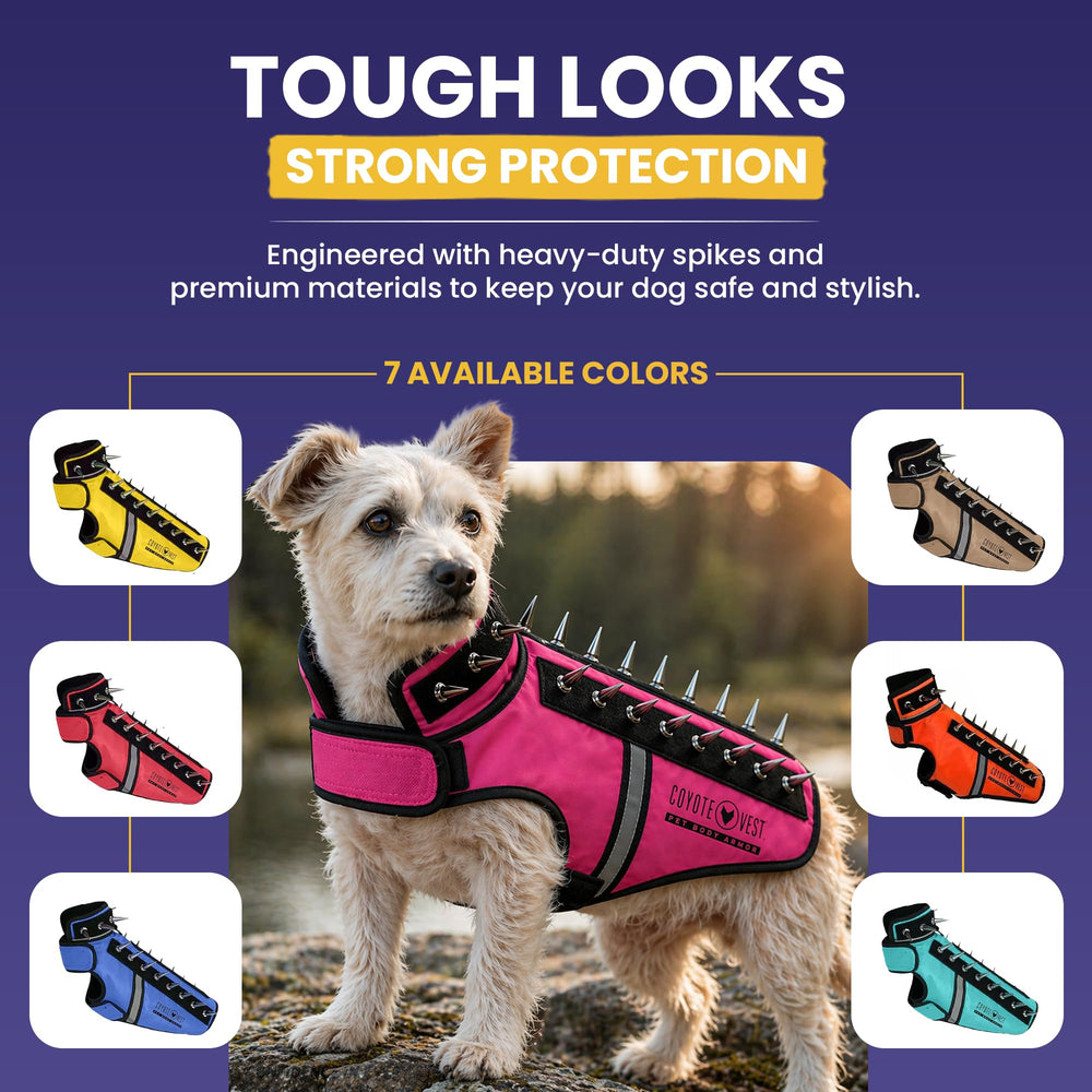 CoyoteVest chien portant le SpikeVest lors d'une promenade pour sécurité active