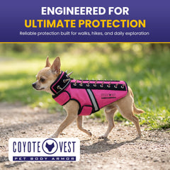 CoyoteVest gros plan sur picots amovibles pour décourager morsures