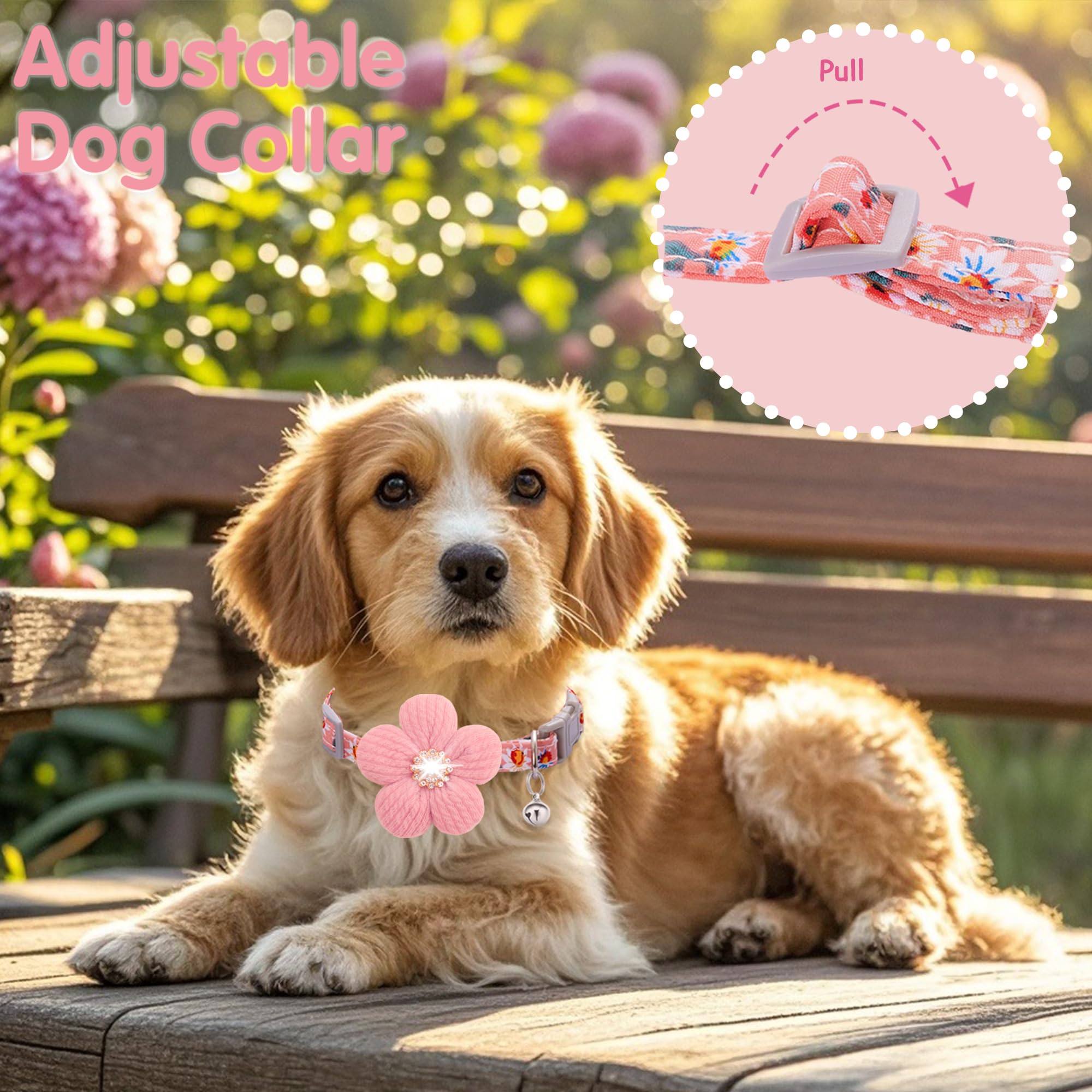 COZIRAE chien moyen porte le collier pour un look quotidien soigné