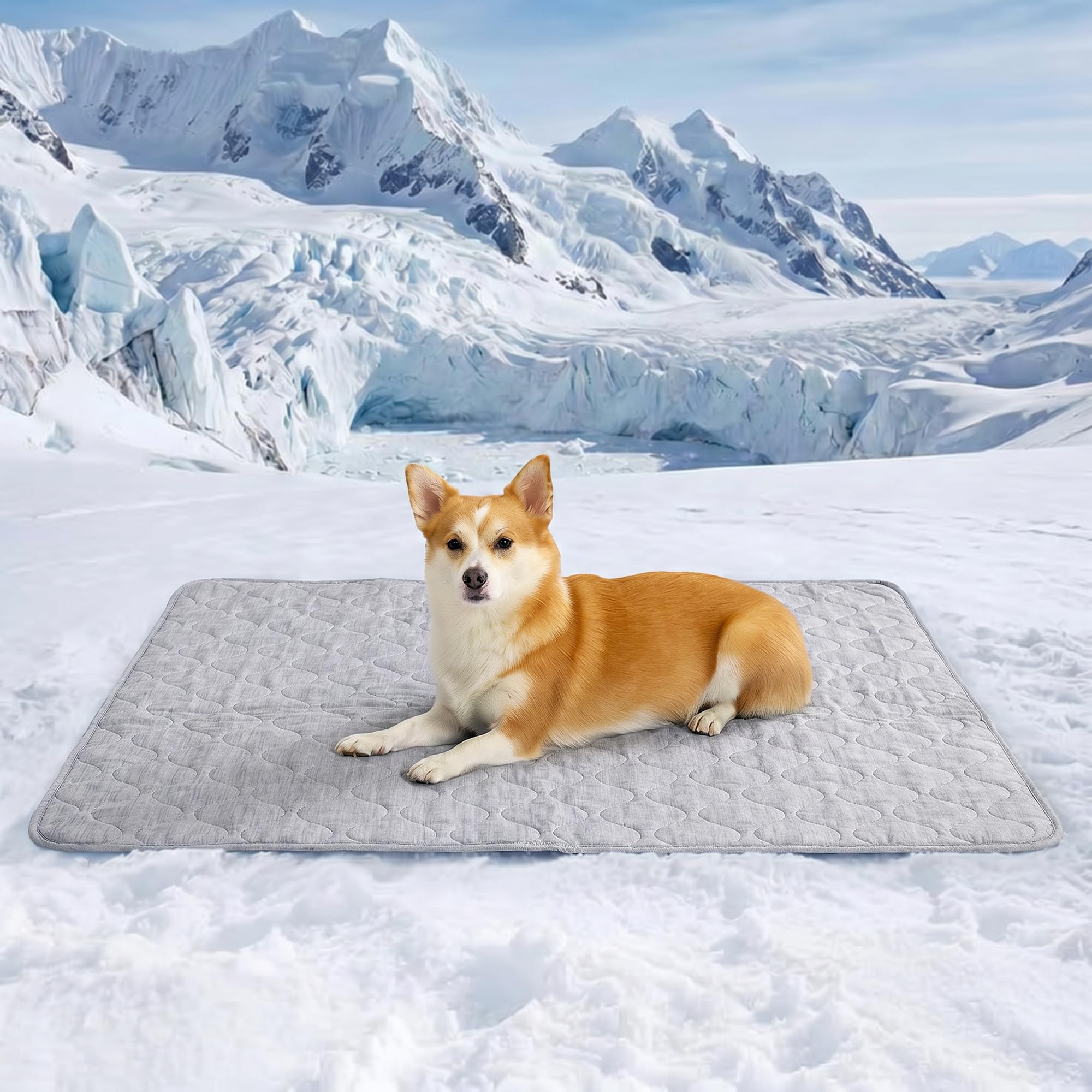 Cozy Bliss tapis plein devant montrant protection et fraîcheur immédiate