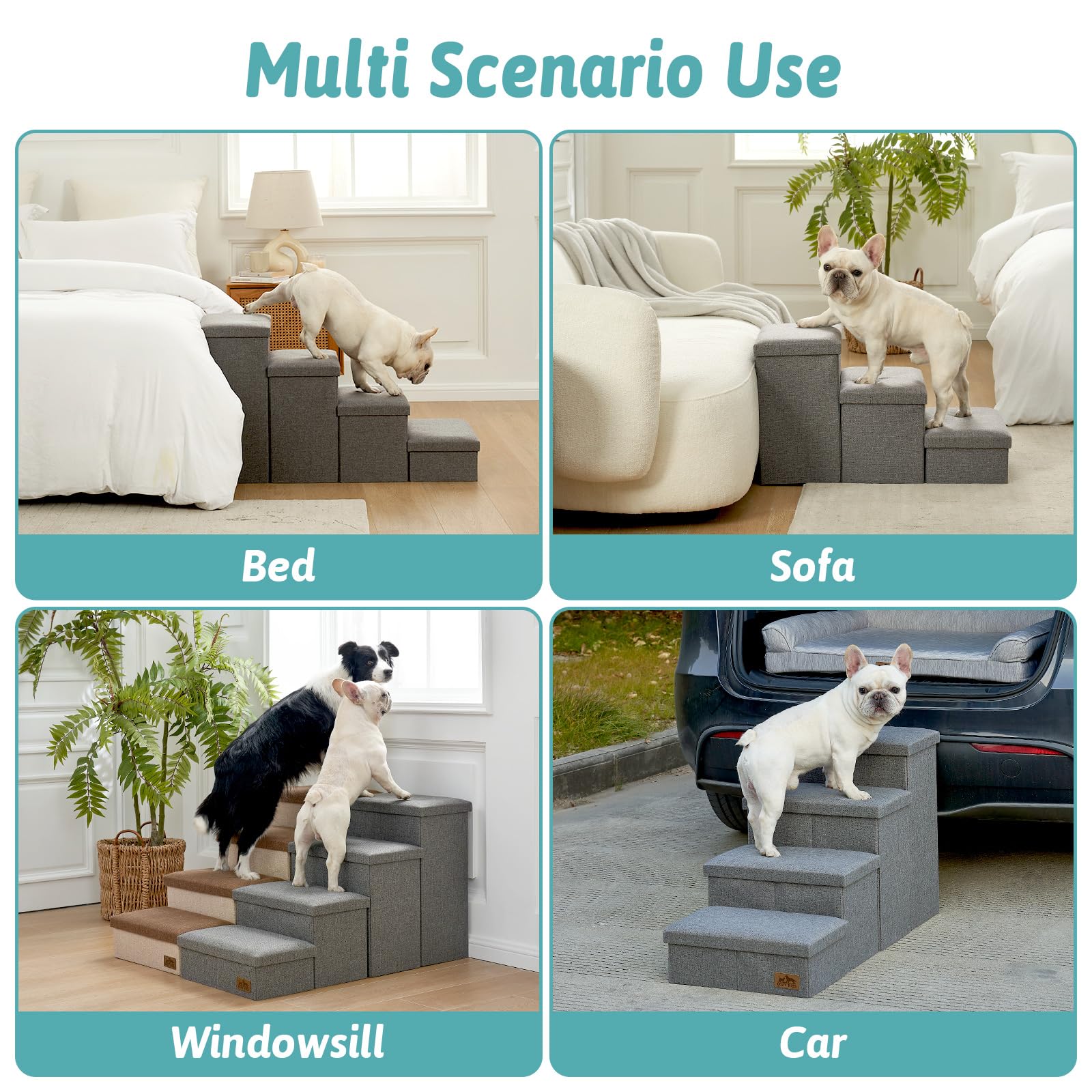 COZY KISS échelle à côté d’un chien pour comparaison de taille
