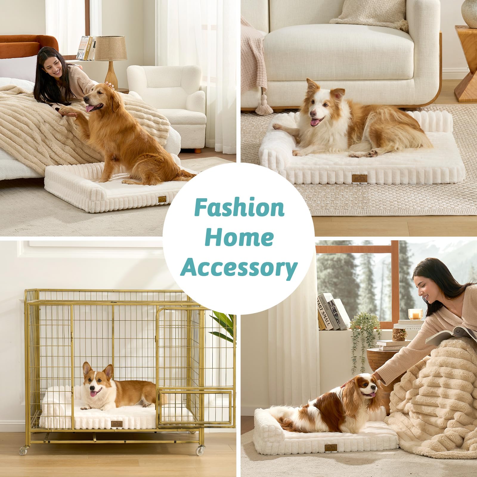 COZY KISS lit en usage avec chien, repos sécurisé et apaisant