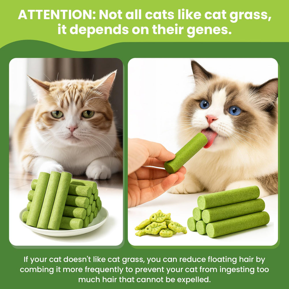 CPFK étiquette ingrédients mettant en avant poulet et herbe à chat naturels