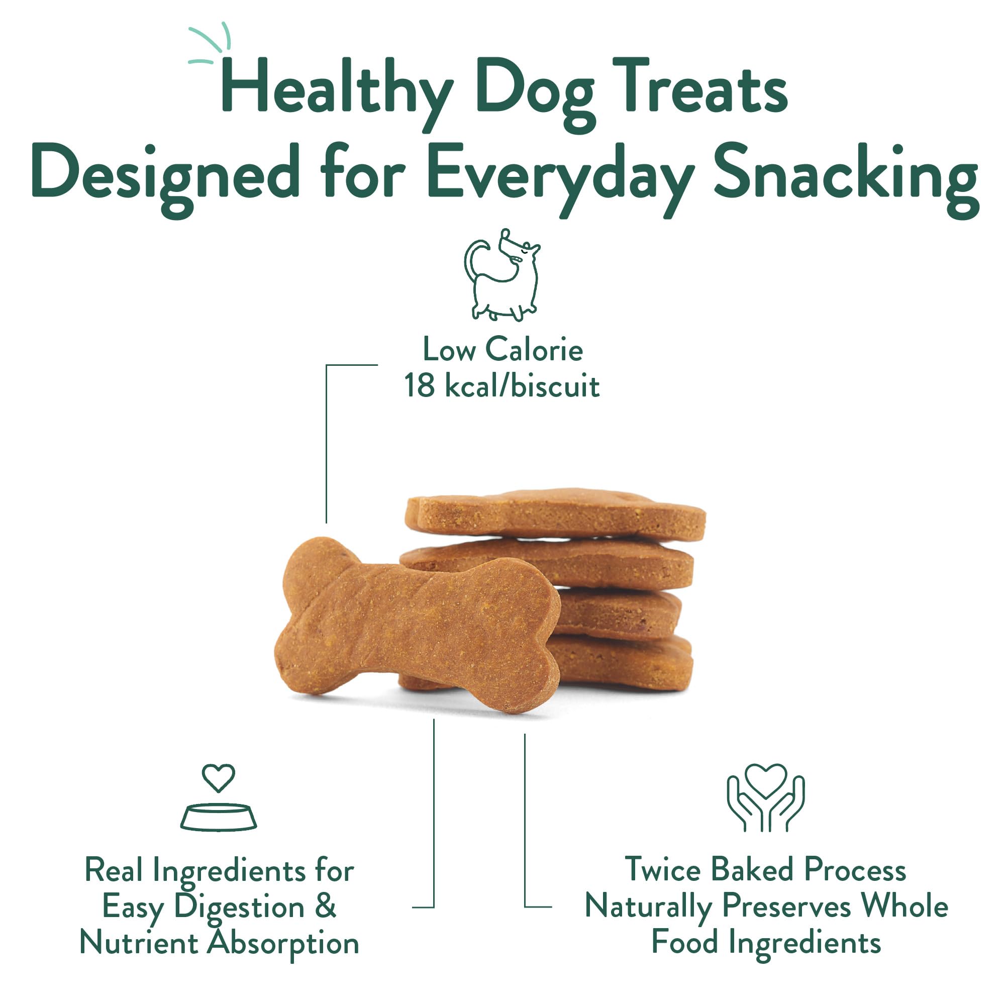 CRAFTED BY HUMANS biscuit à l'échelle de la main, taille adaptée pour chiens