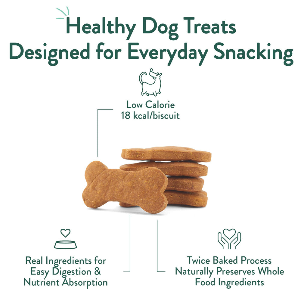 CRAFTED BY HUMANS LOVED BY DOGS biscuits dans la main d'un propriétaire, prise facile