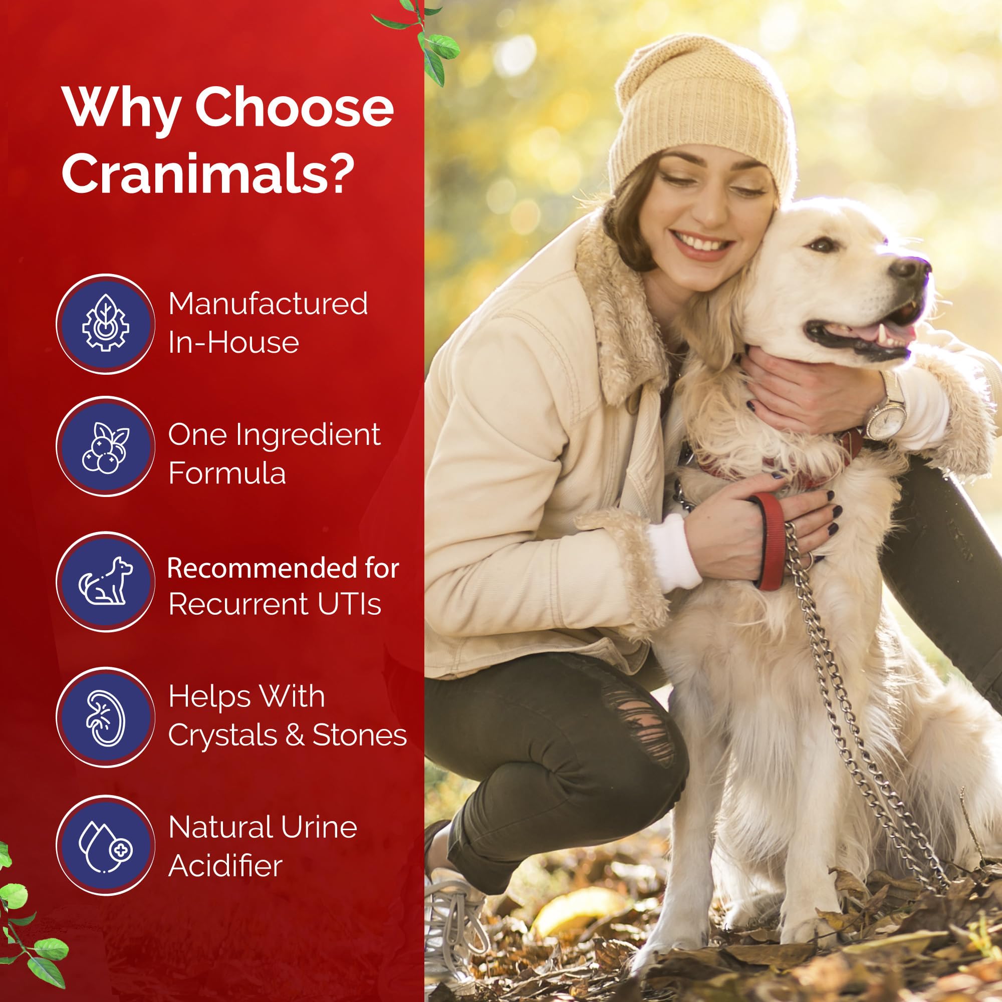 Cranimals mélangé à la nourriture démontrant acceptation par l'animal et facilité d'emploi