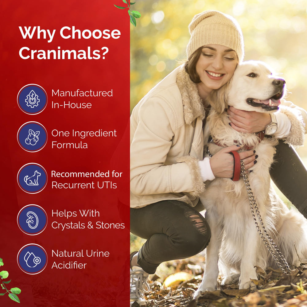 Cranimals mélangé à la nourriture démontrant acceptation par l'animal et facilité d'emploi