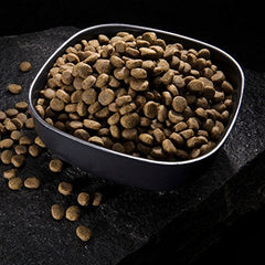 crave chien mangeant croquettes démontrant énergie et plaisir