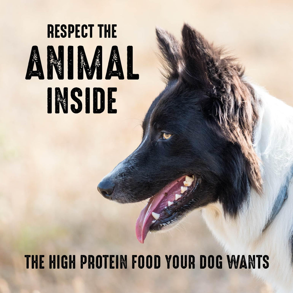 CRAVE chien mange dans le jardin illustrant énergie et plaisir