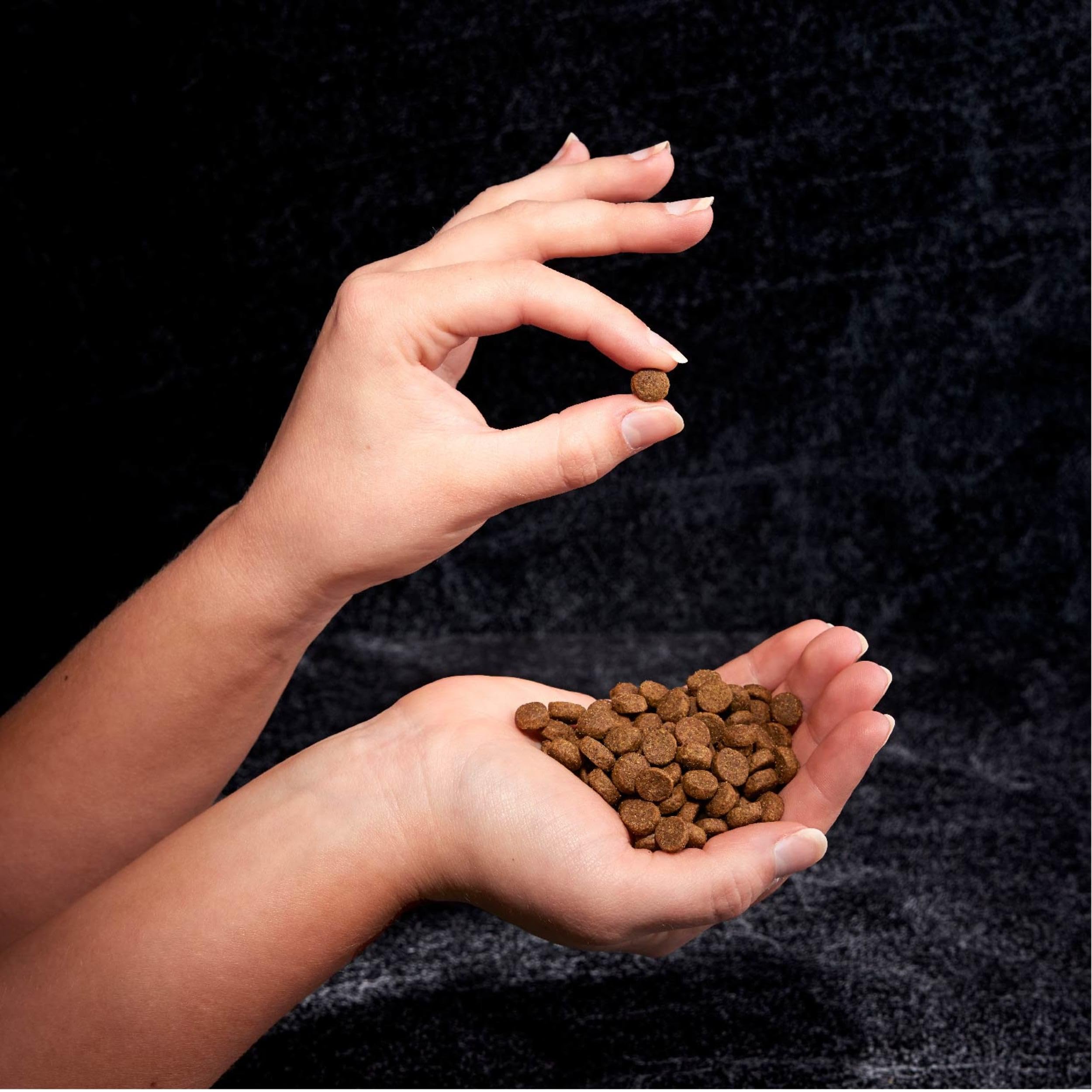 CRAVE pile de croquettes montrant forme et densité pour conservation
