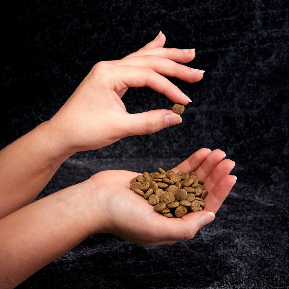 CRAVE cuillère de portionnage pour doser correctement la ration