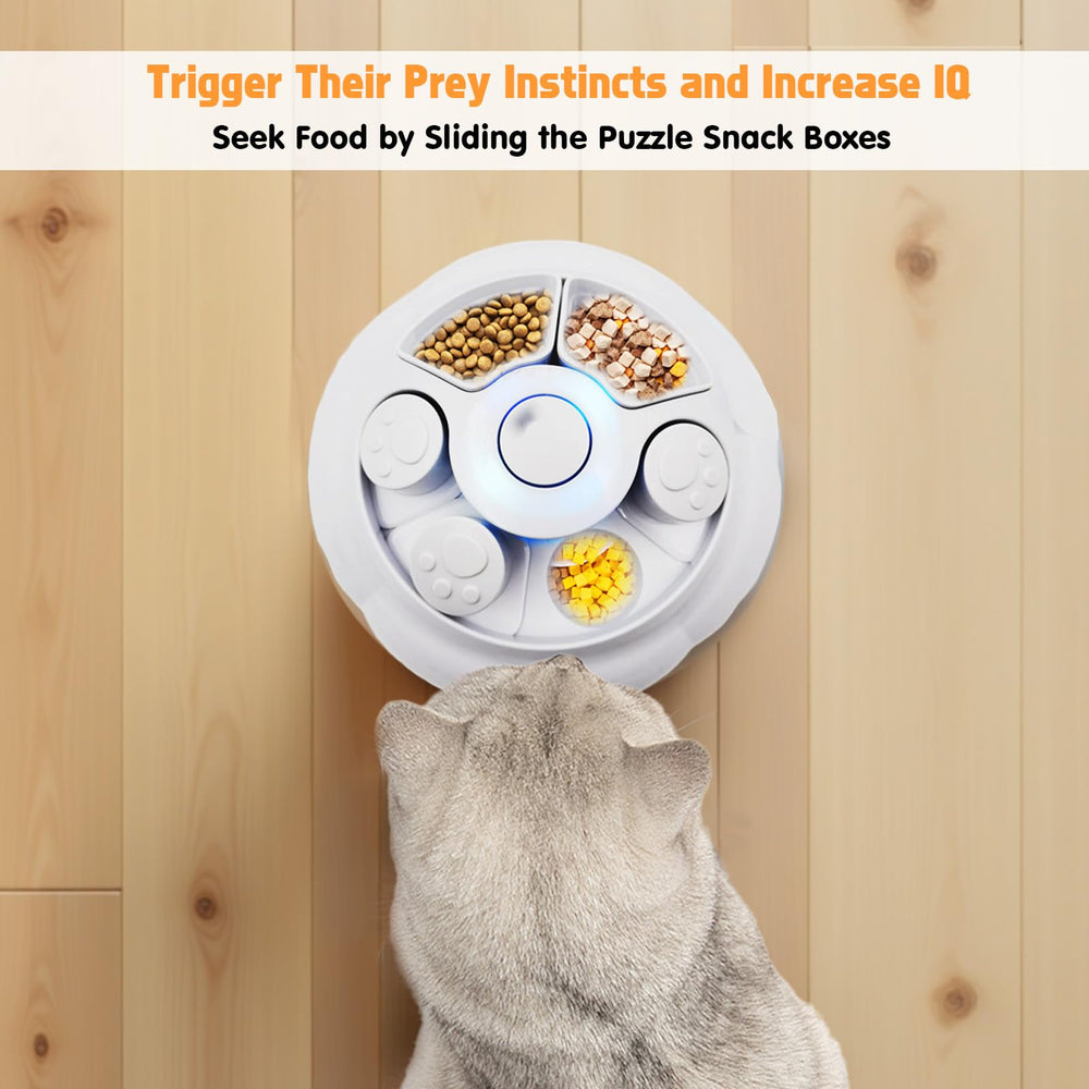 Crazydeer en usage avec chat stimulant chasse et exercice