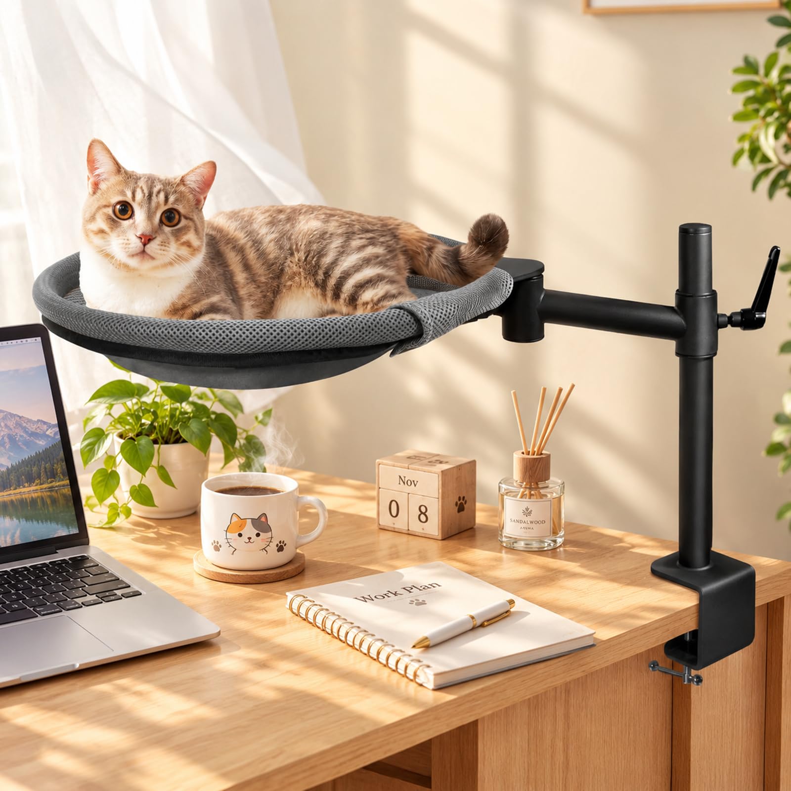 Crazydeer lit de bureau face montrant stabilité et confort
