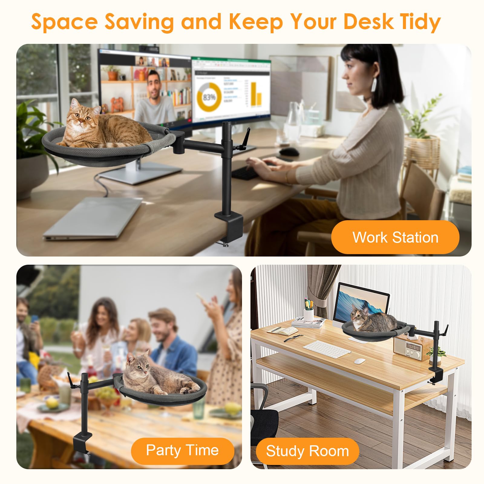 Crazydeer ambiance bureau avec chat pour favoriser productivité apaisée