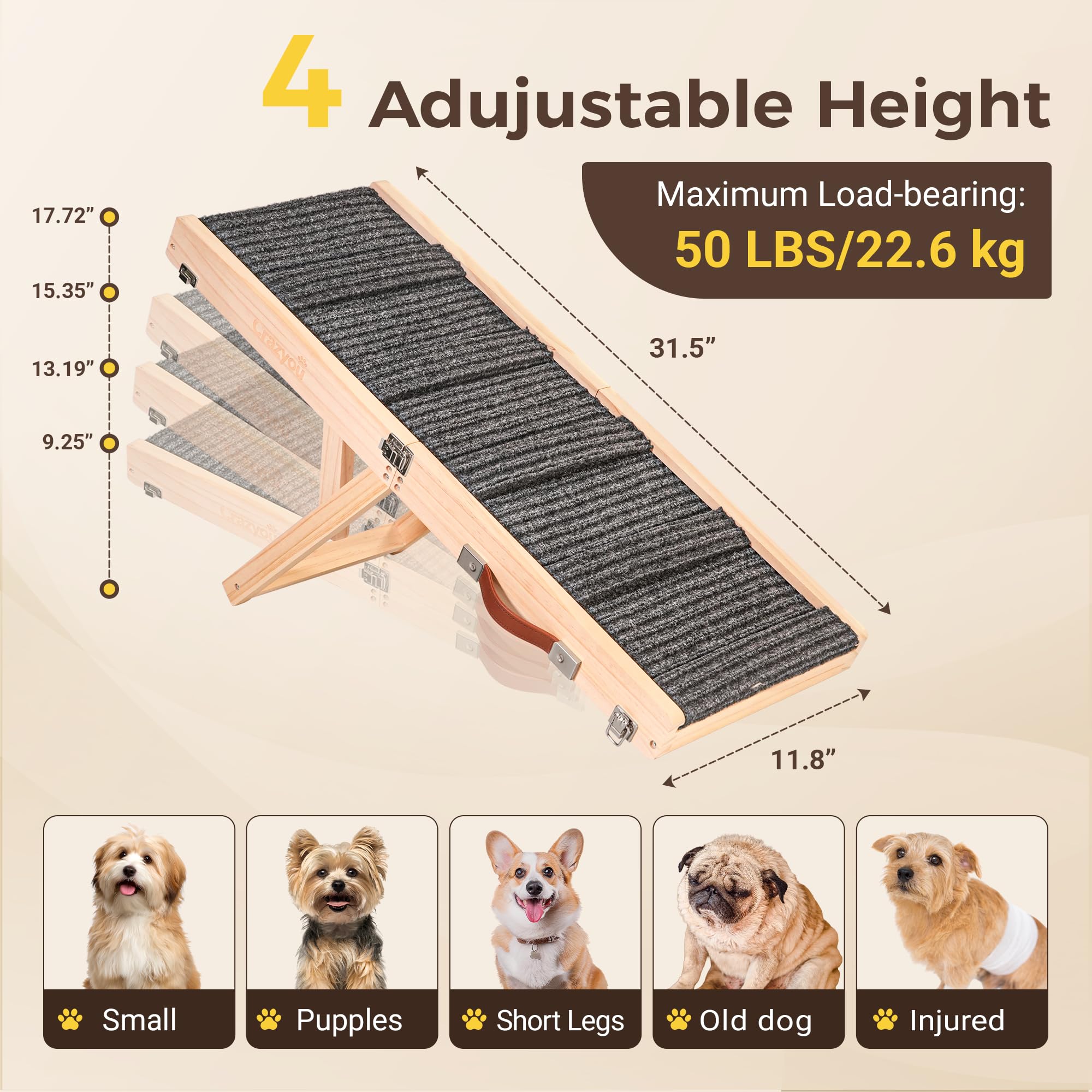 Crazyou rampe en usage au pied du lit pour montée en douceur du chien