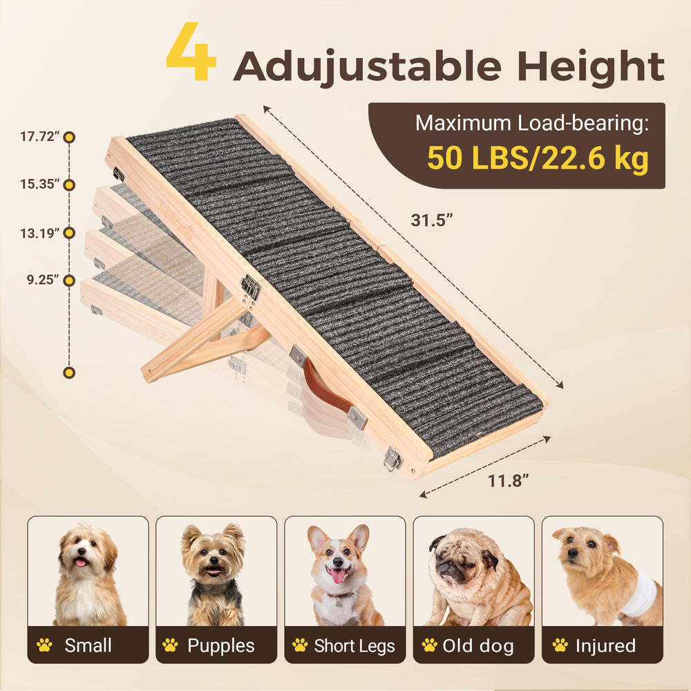 Crazyou rampe en usage au pied du lit pour montée en douceur du chien