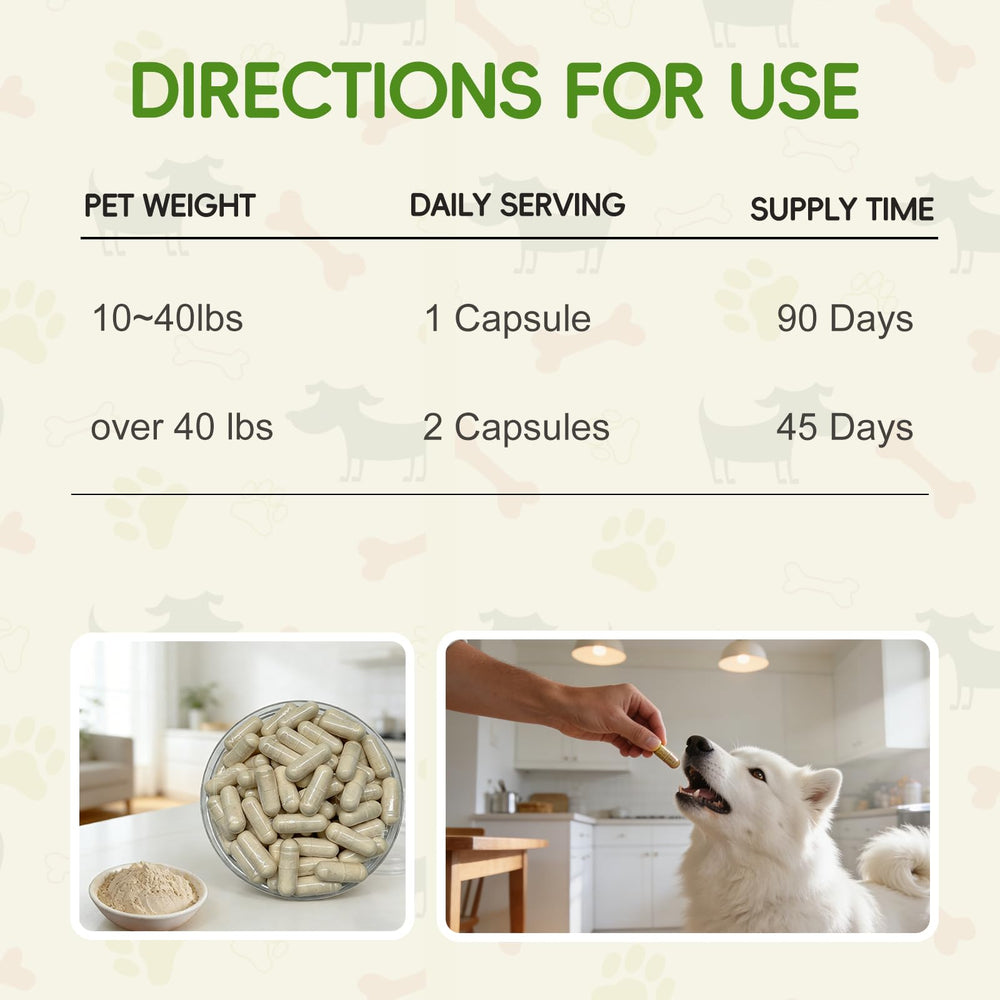 Crazzartmon comparaison taille gélule montrant portion adaptée à chien et dosage clair