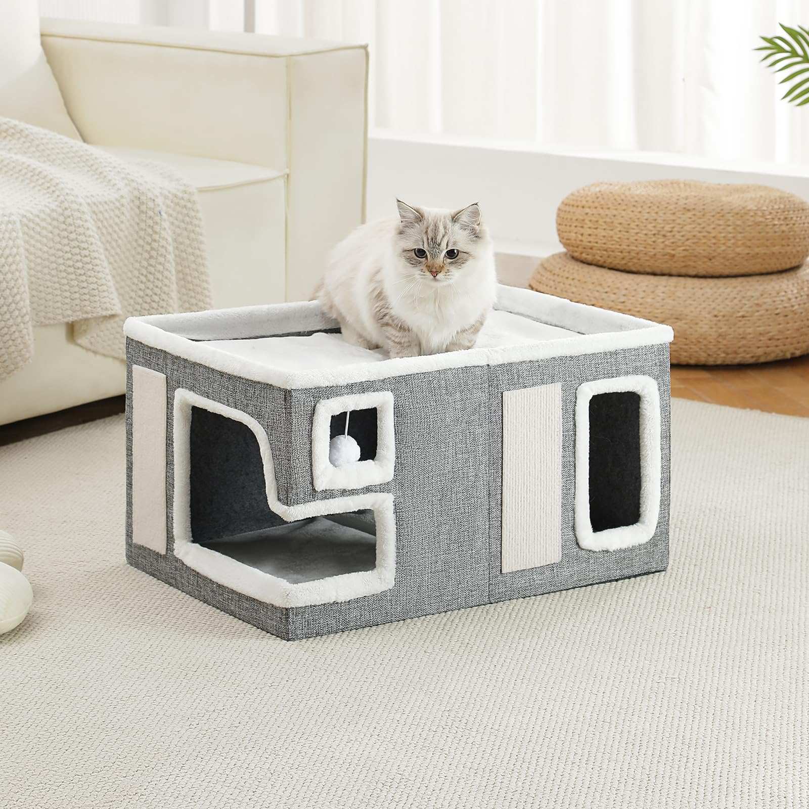 Crispedia comparaison taille 23x16x13 avec chat pour échelle