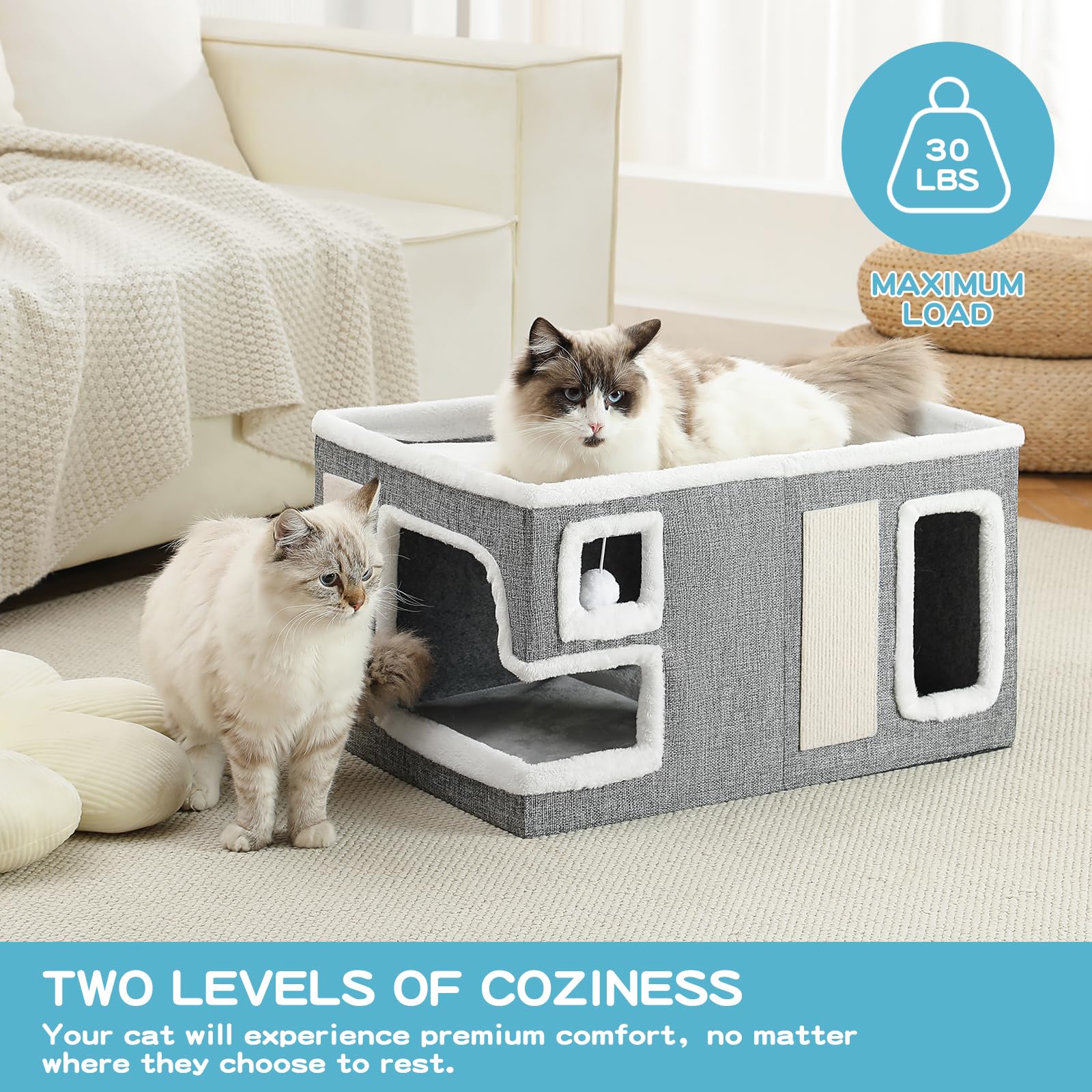 Crispedia plateforme supérieure accueillant un chat observateur