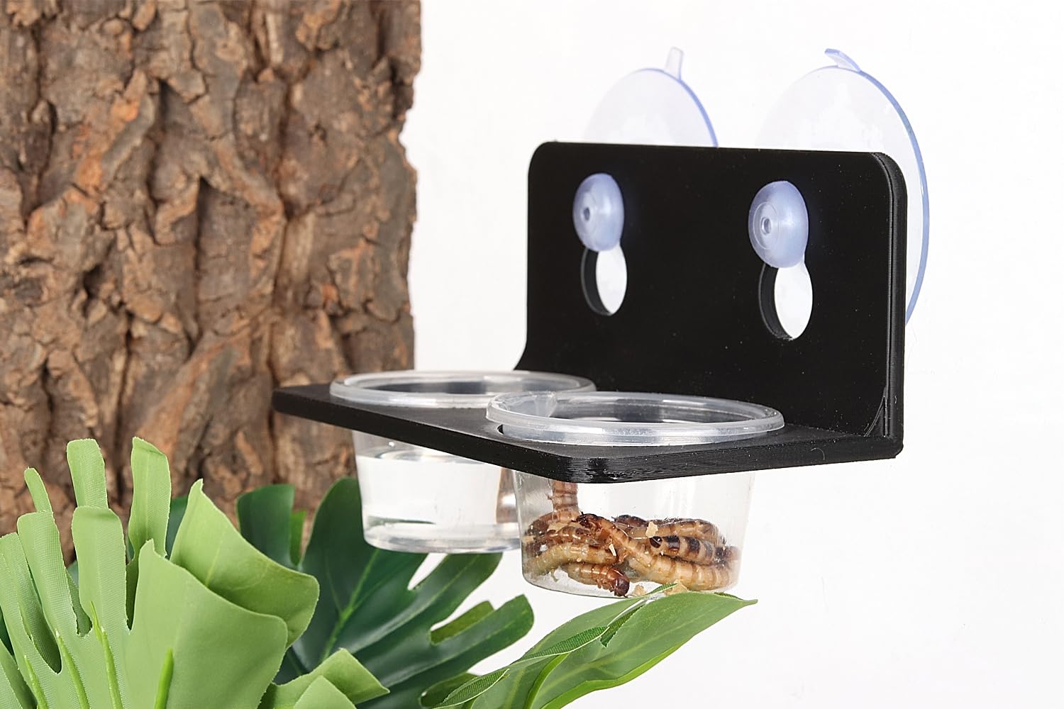 CRITTZOO coupelle remplie d'insectes pour une portion mesurée