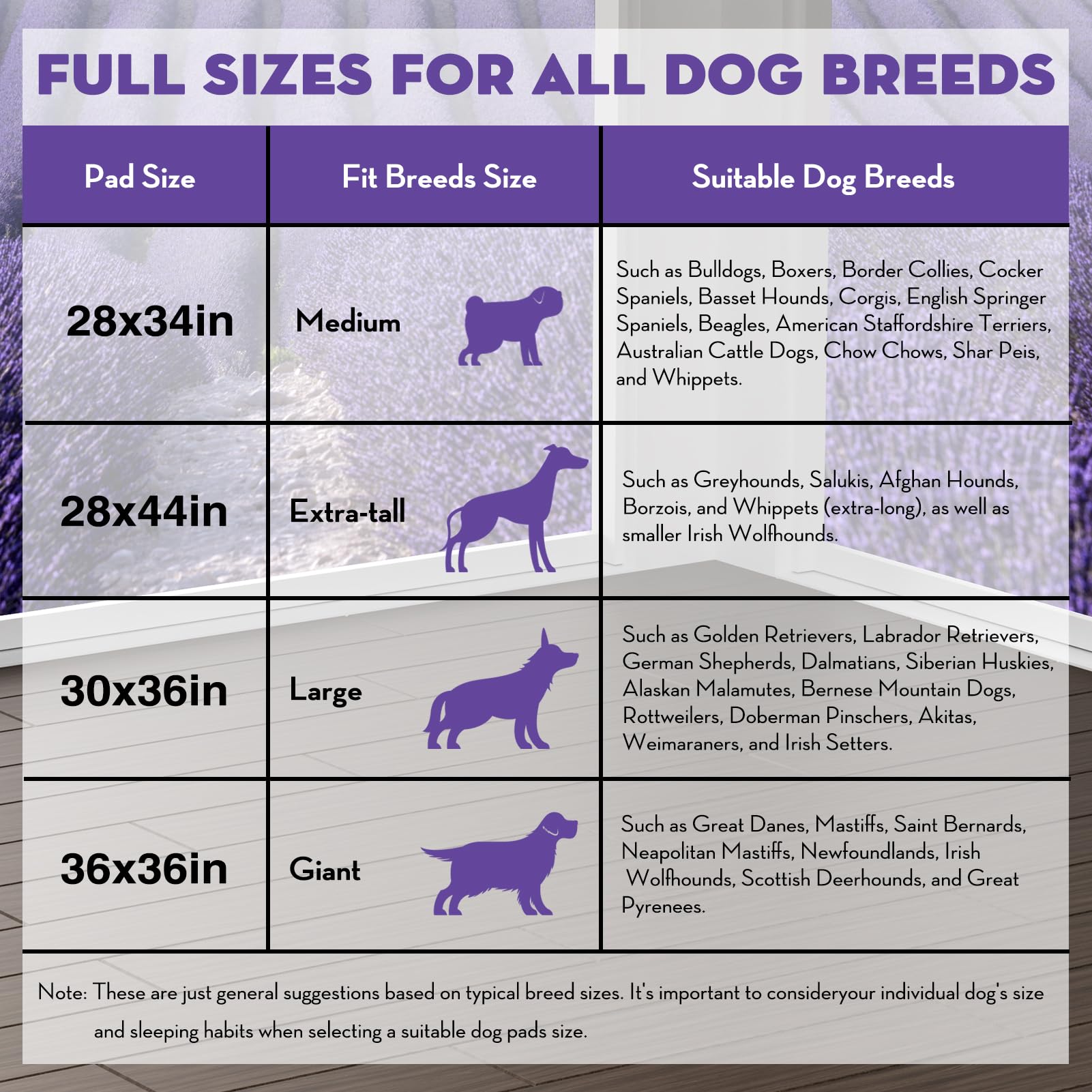 Croci comparaison taille avec chien moyen pour choisir la dimension