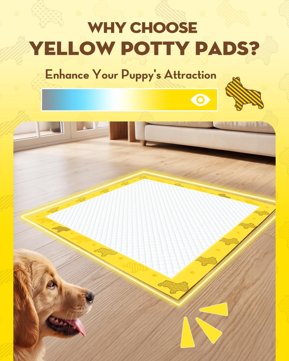 Croci couleur jaune vive et motif rendant l'emplacement attractif