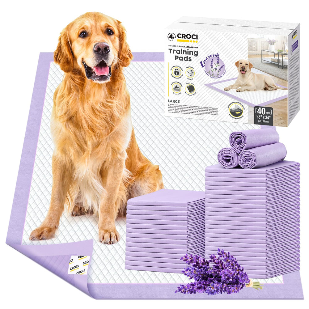 Croci emballage avant montrant 40 tapis et protection pour sol