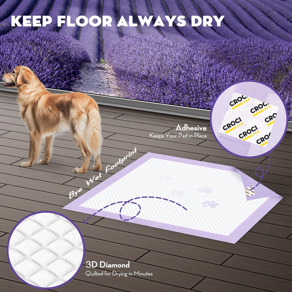 Croci tapis en usage dans salon gardant le sol propre