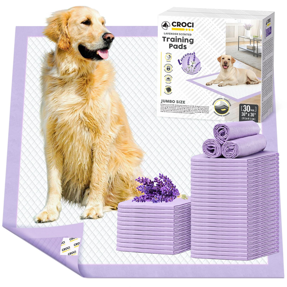 Croci emballage frontal montrant 30 unités et design pratique