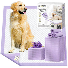 Croci emballage frontal montrant 30 unités et design pratique