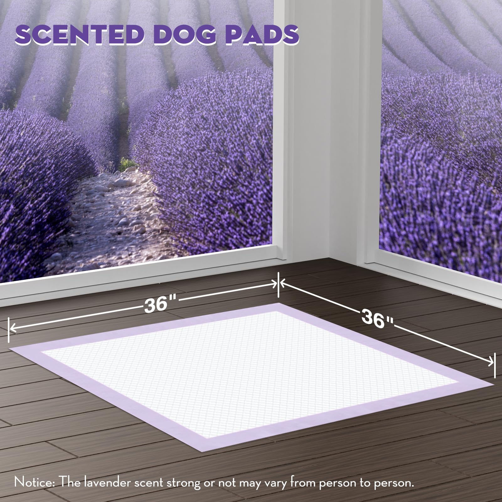 Croci gros plan sur les 6 couches montrant absorption rapide