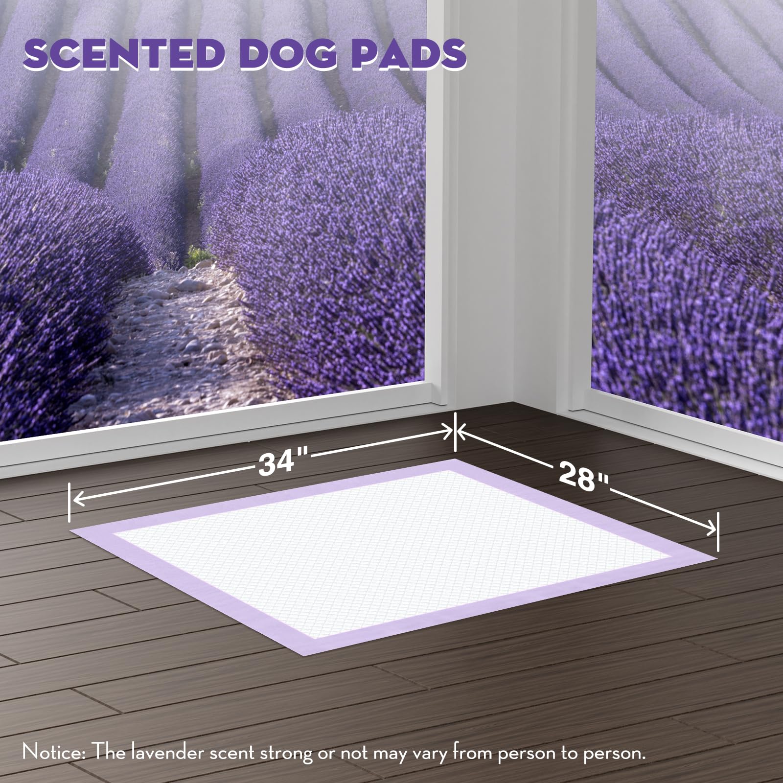 Croci gros plan sur les six couches montrant absorption rapide