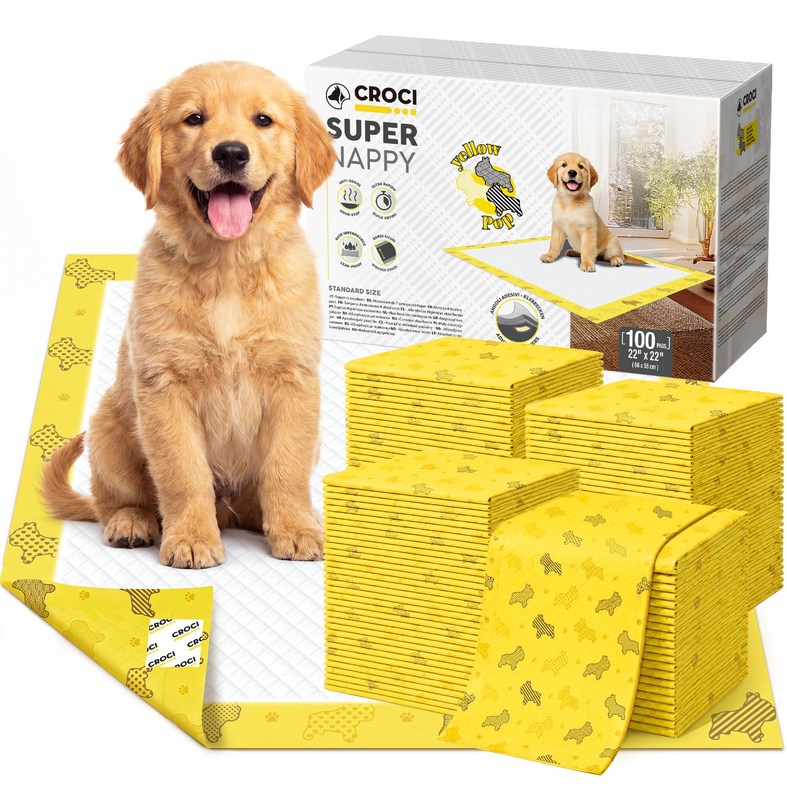Croci packaging avant montrant 100 unités et protection pratique