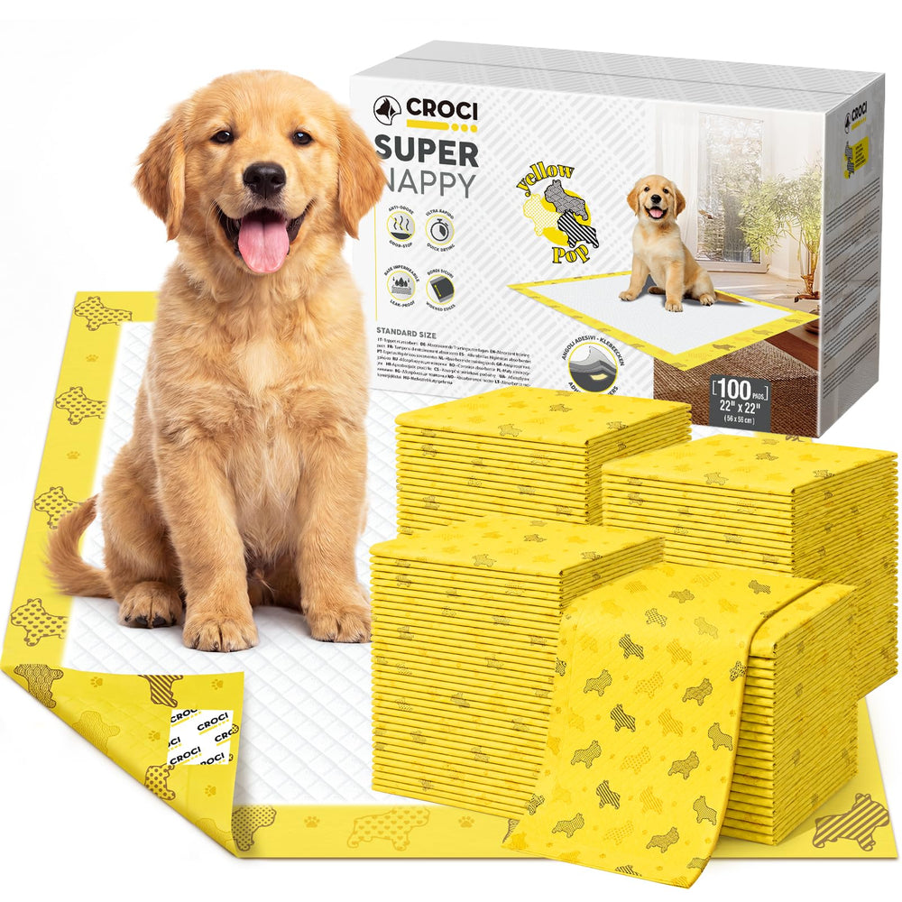 Croci packaging avant montrant 100 unités et protection pratique