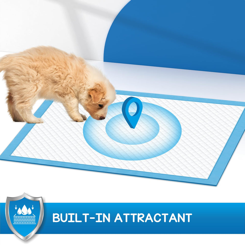 Croci comparaison de taille montrant couverture XXL pour grands chiens